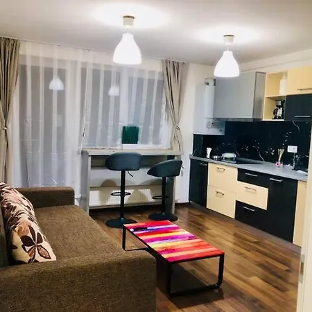 Joy Stefan Baciu 10 Apartment Brasov
