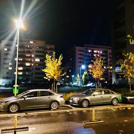 Joy Stefan Baciu 10 * Brasov